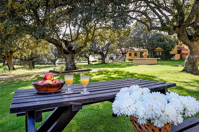 Mesa picnic jardines casa principal las Ahijaderas